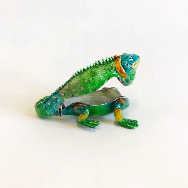 Boîte précieuse Iguane – Image 11