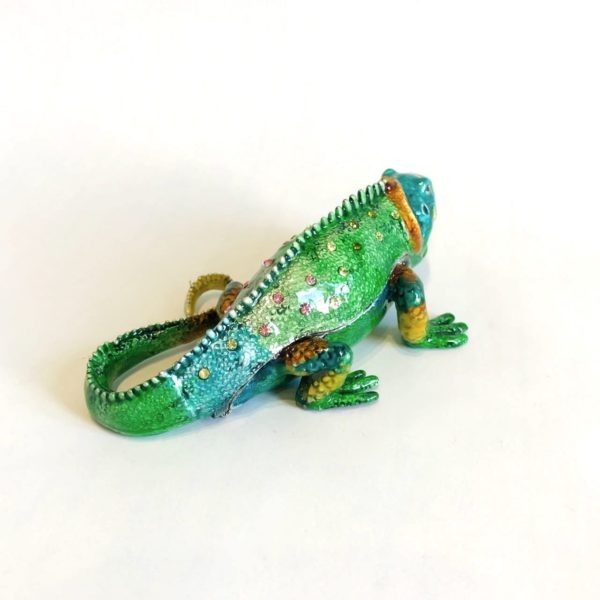 Boîte précieuse Iguane – Image 5