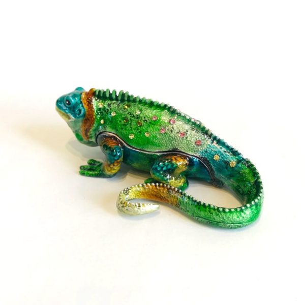 Boîte précieuse Iguane – Image 6