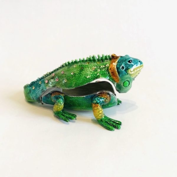 Boîte précieuse Iguane – Image 9