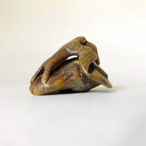Jade archaïque chinois #03: Grue ou canard ou oie – Image 5